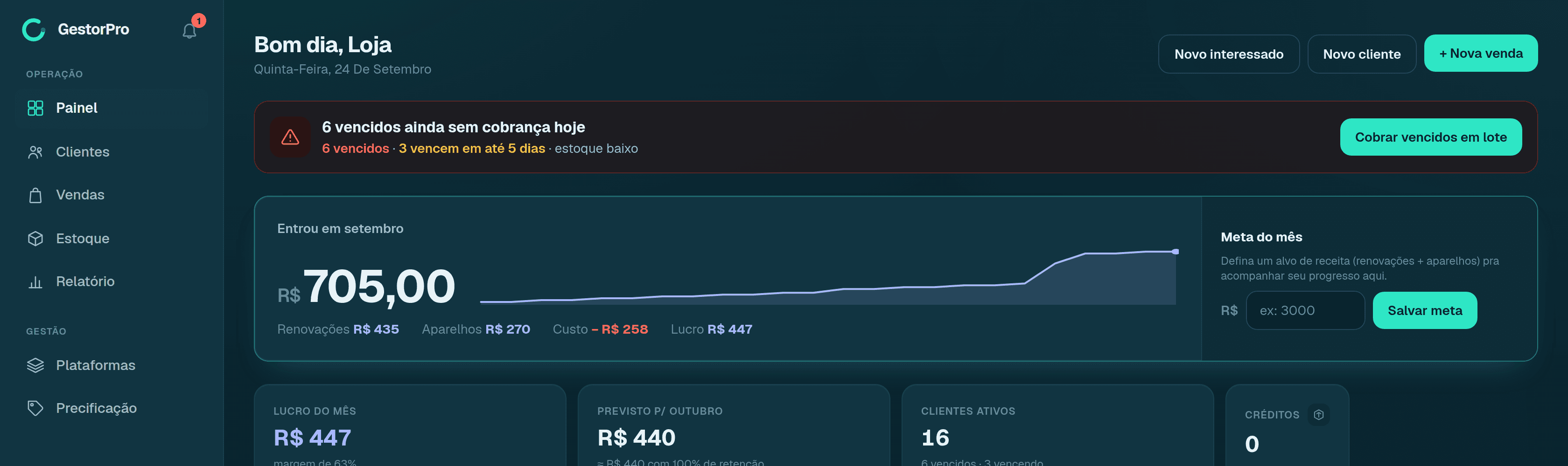 Painel do GestorPro no computador